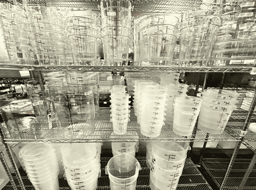 food storage containers  rochester ny